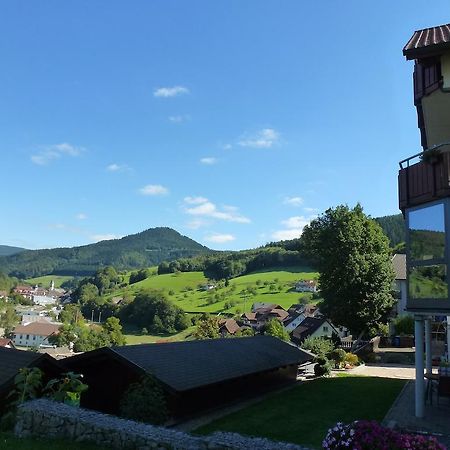 Ferienwohnung Schwarzwaldsteig Bad Peterstal-Griesbach Pokoj fotografie