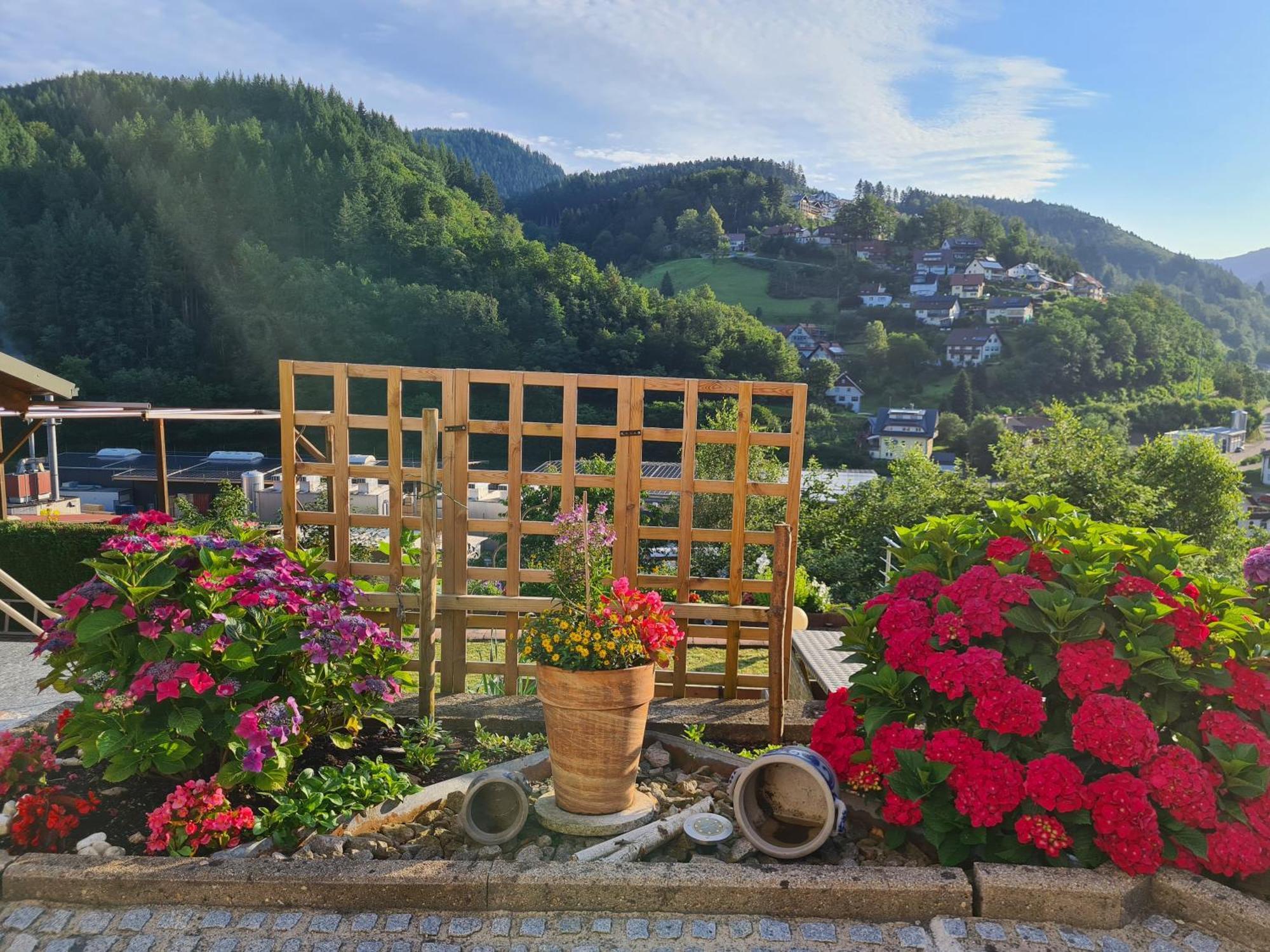 Ferienwohnung Schwarzwaldsteig Bad Peterstal-Griesbach Exteriér fotografie