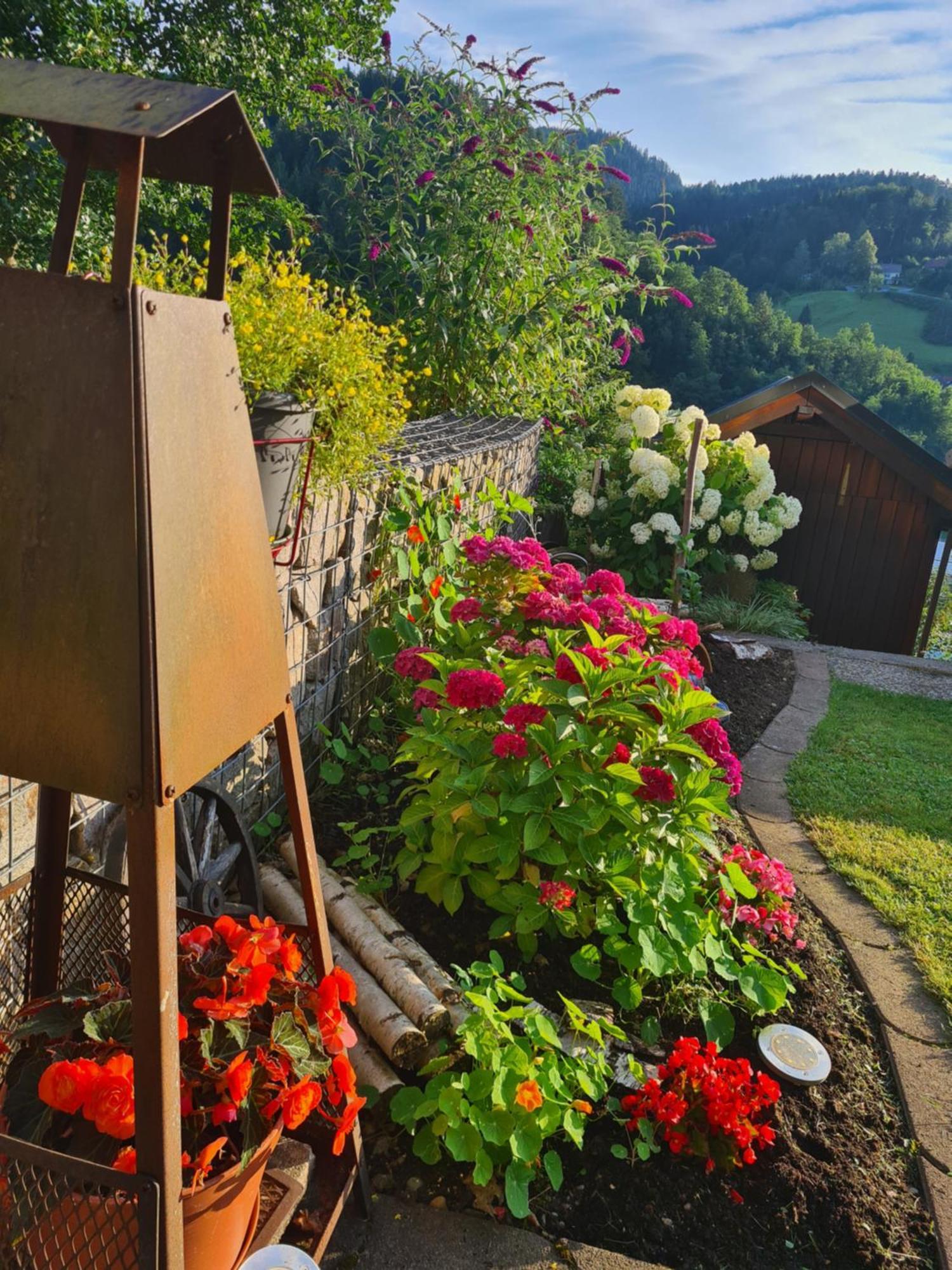 Ferienwohnung Schwarzwaldsteig Bad Peterstal-Griesbach Exteriér fotografie