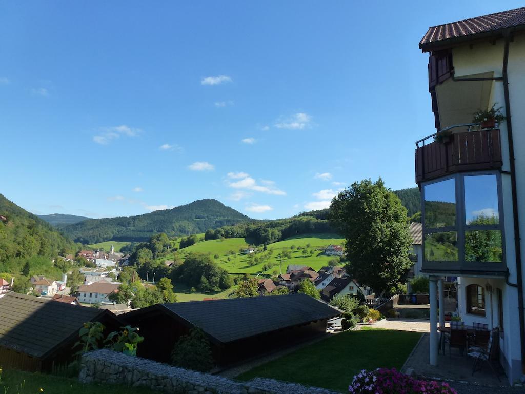 Ferienwohnung Schwarzwaldsteig Bad Peterstal-Griesbach Pokoj fotografie