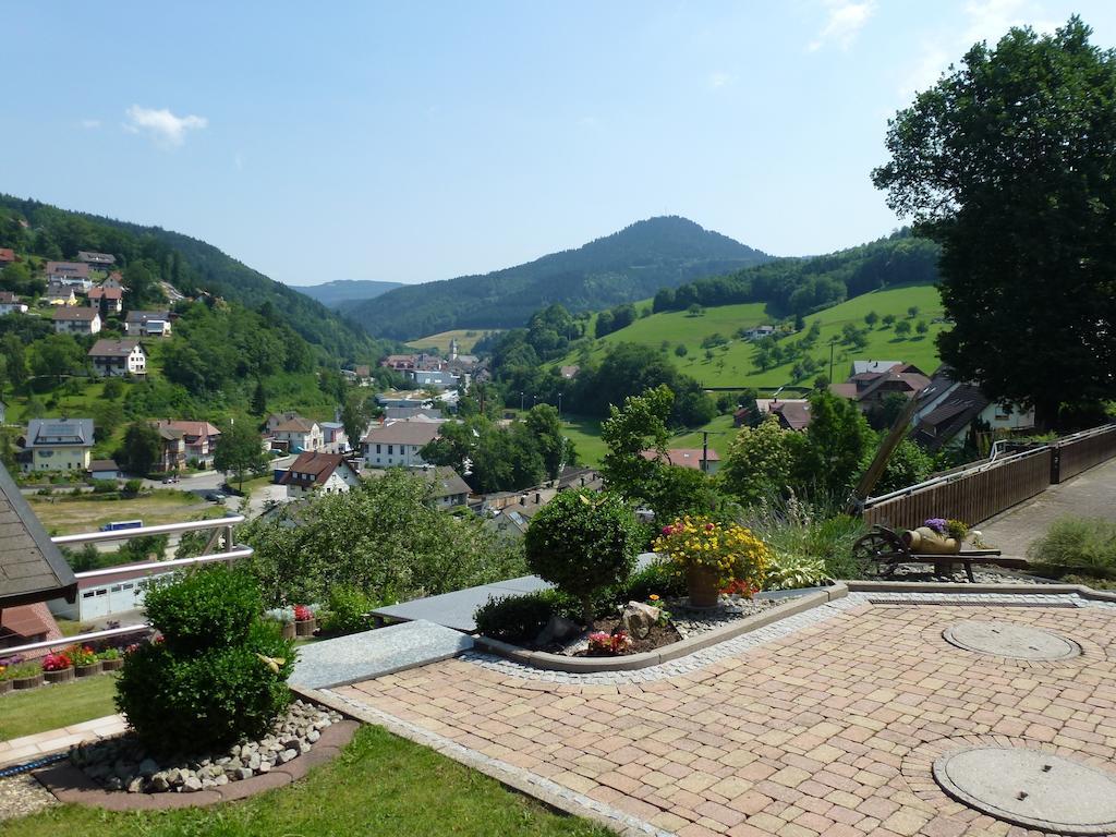 Ferienwohnung Schwarzwaldsteig Bad Peterstal-Griesbach Pokoj fotografie