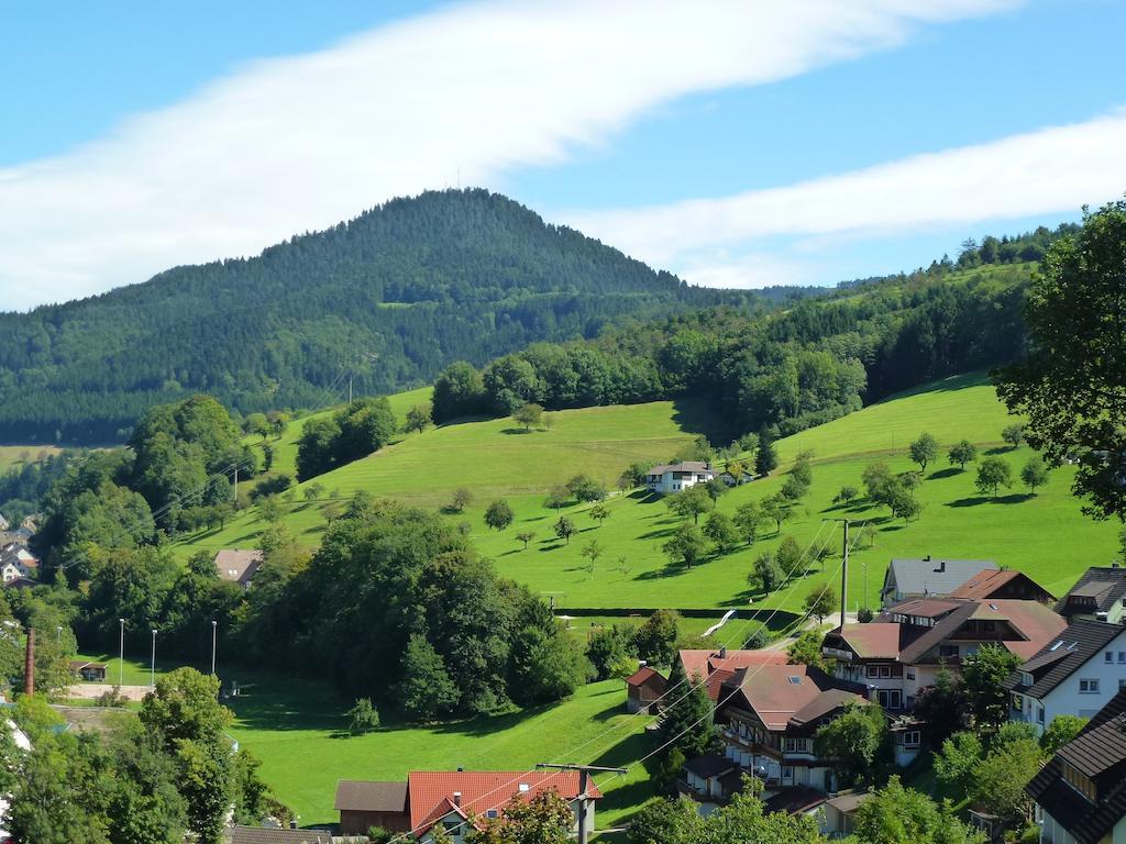 Ferienwohnung Schwarzwaldsteig Bad Peterstal-Griesbach Exteriér fotografie